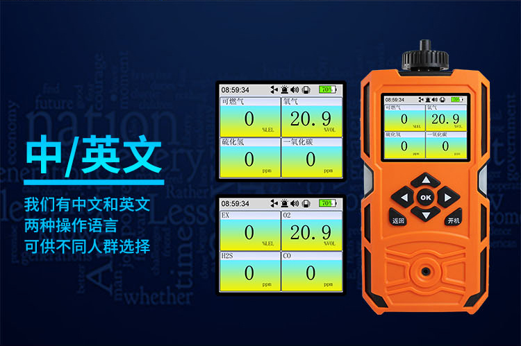 氧氣檢測(cè)儀